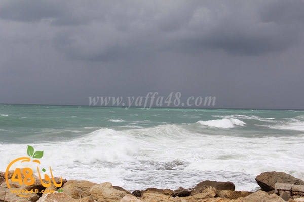 arain in yaffaj3 (5).JPG